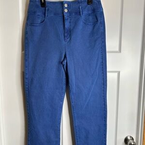 Ann Taylor Women’s Size 12 High Waisted Pants Jeans Blue 3410